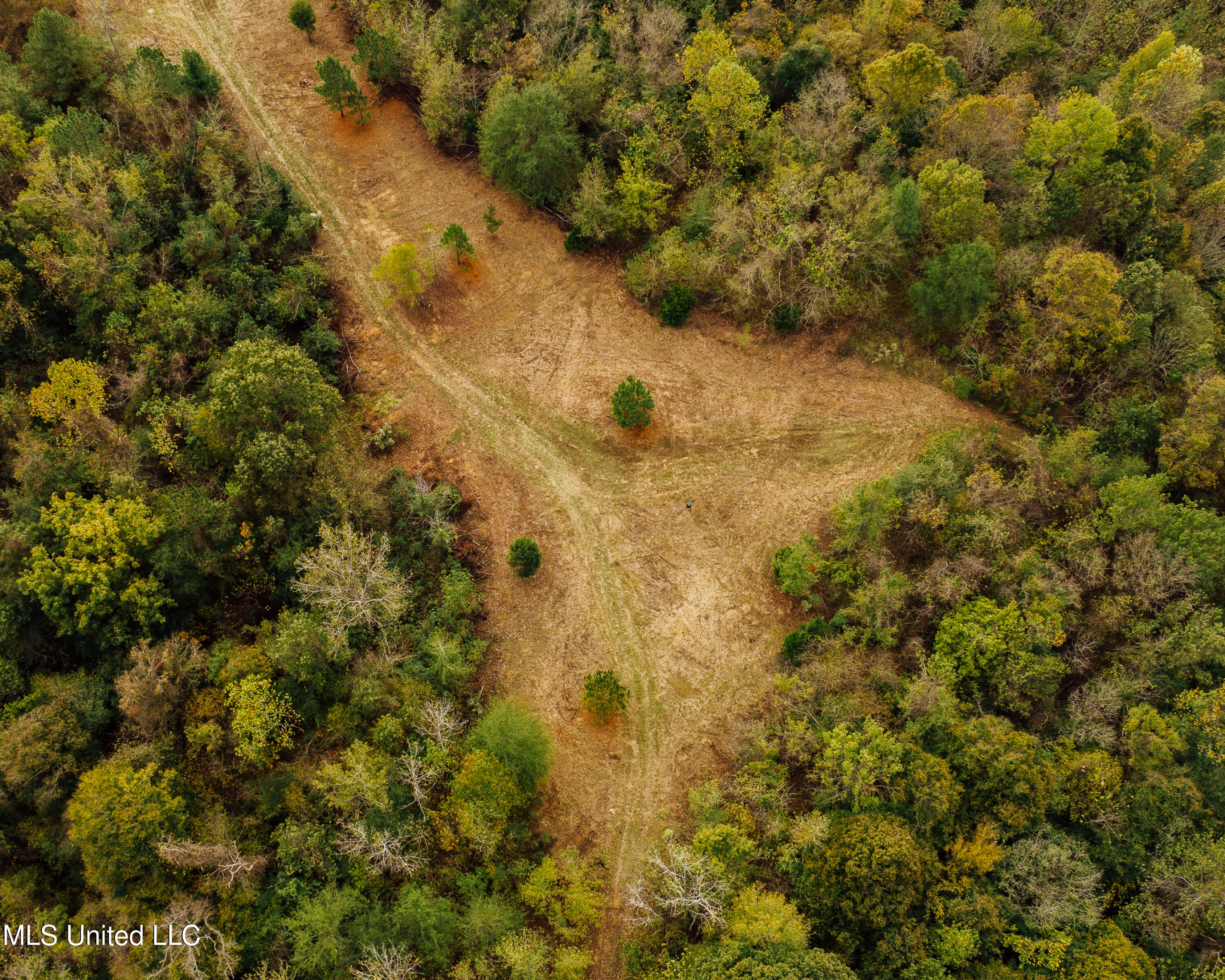 Old Benton Rd, Yazoo City, Mississippi image 19