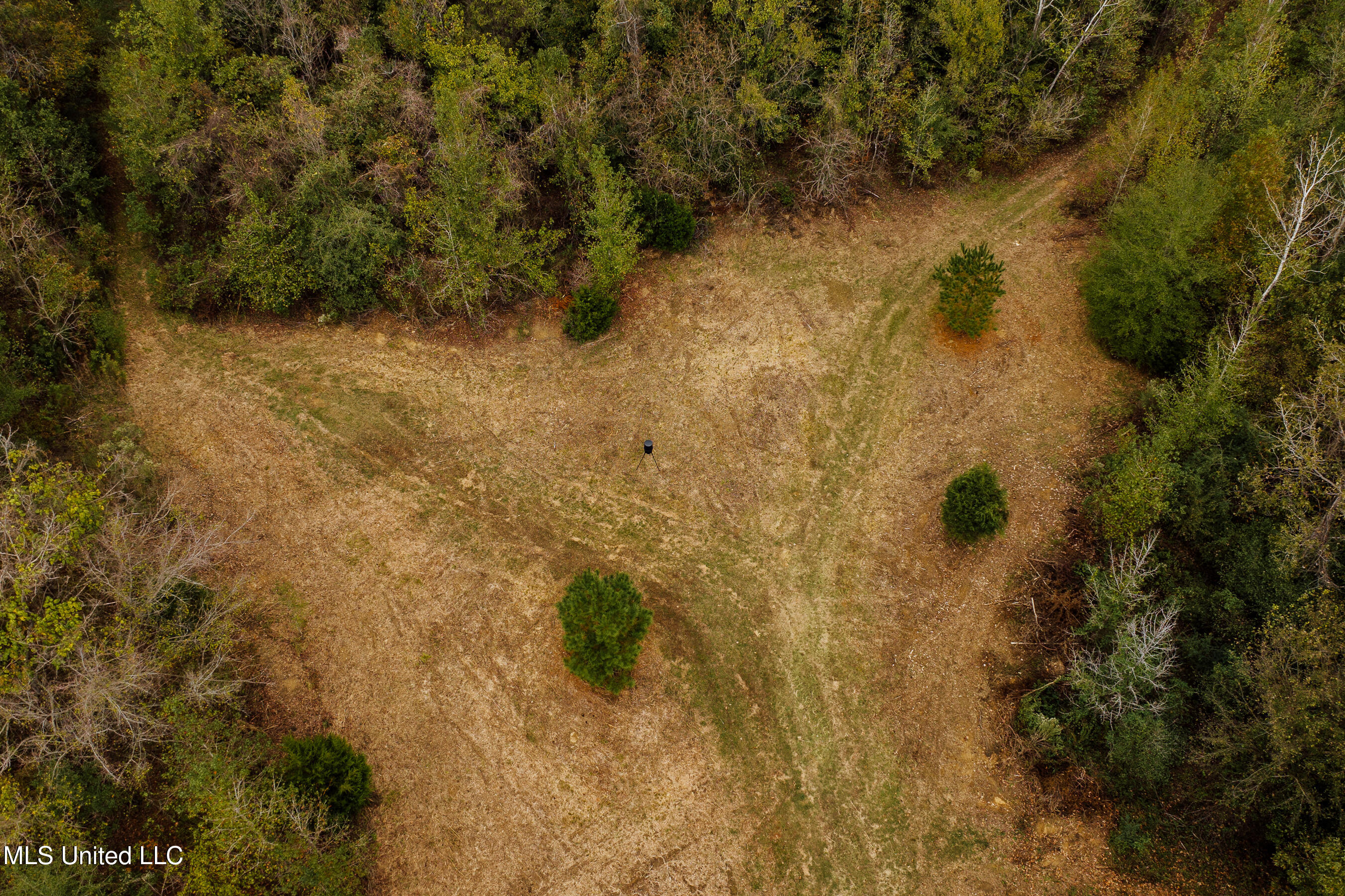 Old Benton Rd, Yazoo City, Mississippi image 3