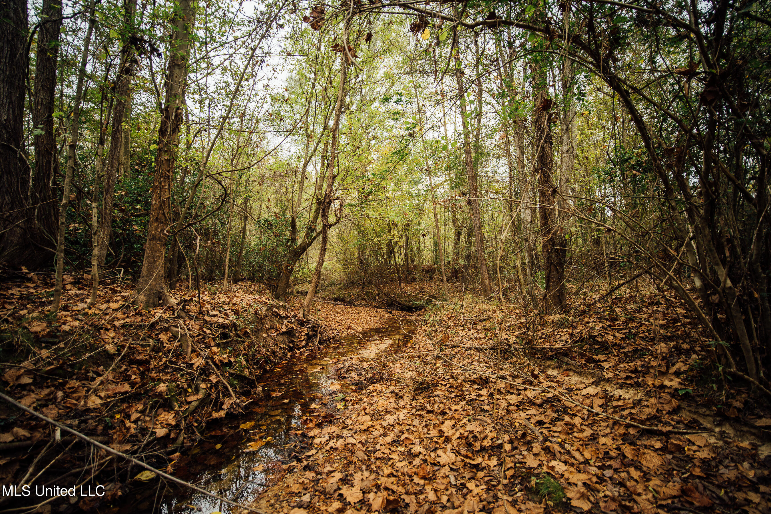 Old Benton Rd, Yazoo City, Mississippi image 25