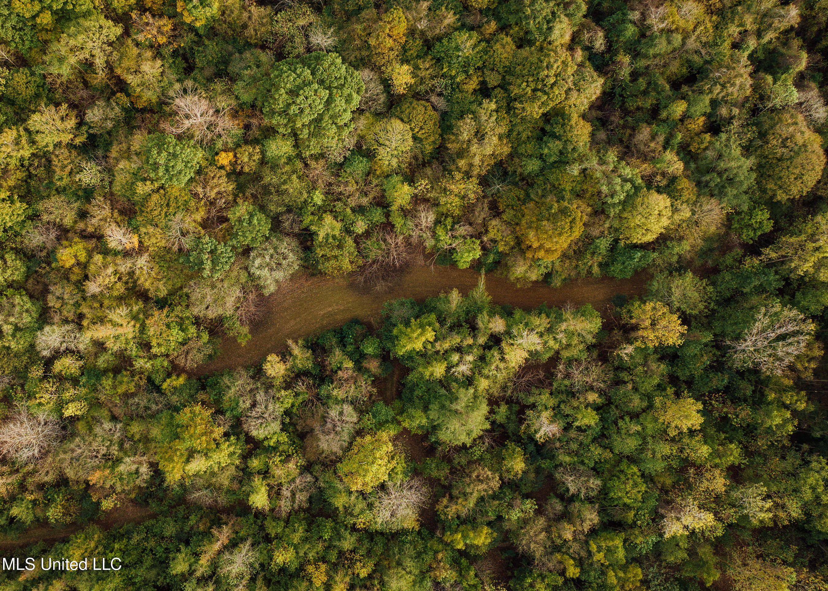 Old Benton Rd, Yazoo City, Mississippi image 18