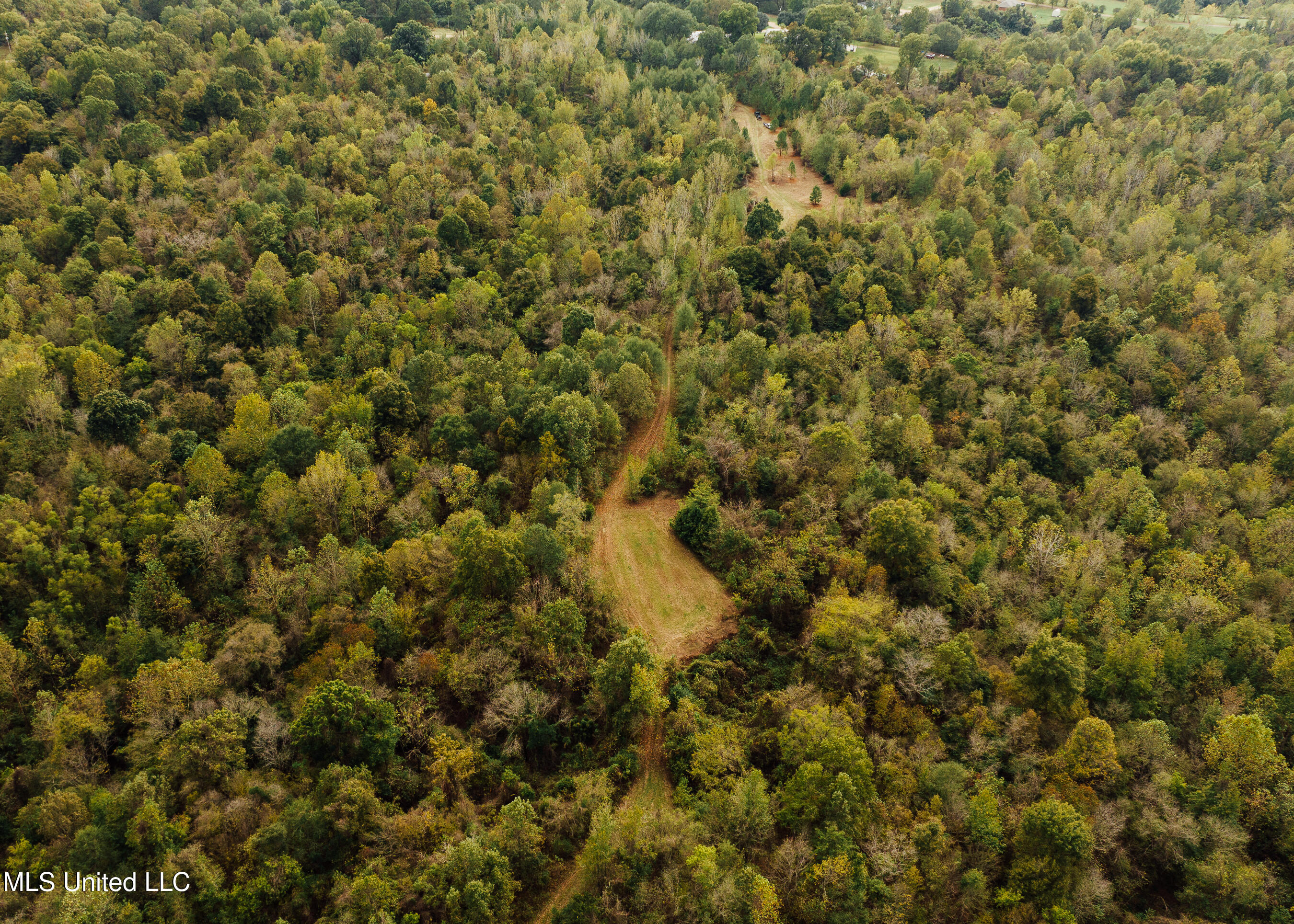 Old Benton Rd, Yazoo City, Mississippi image 4