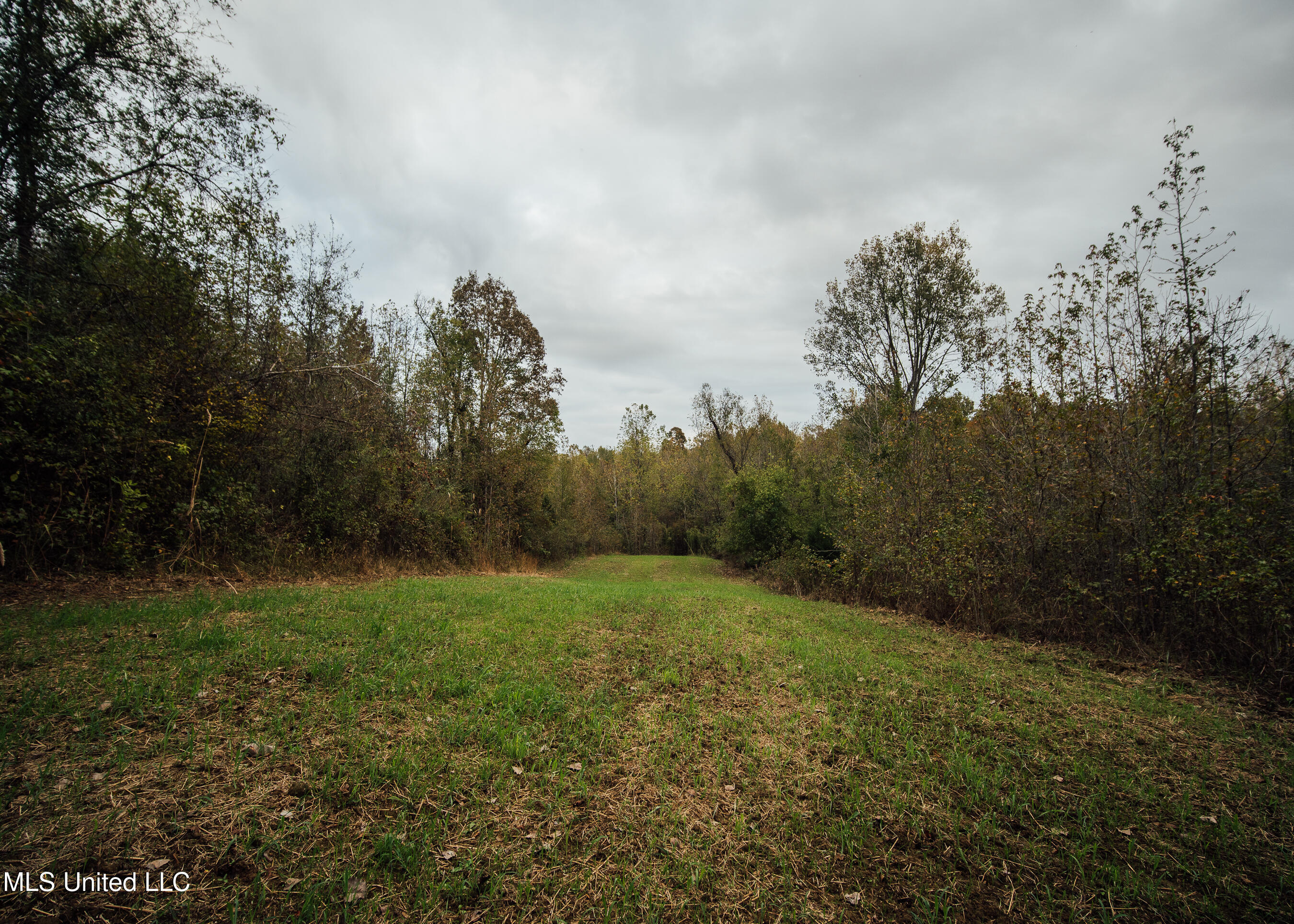 Old Benton Rd, Yazoo City, Mississippi image 35