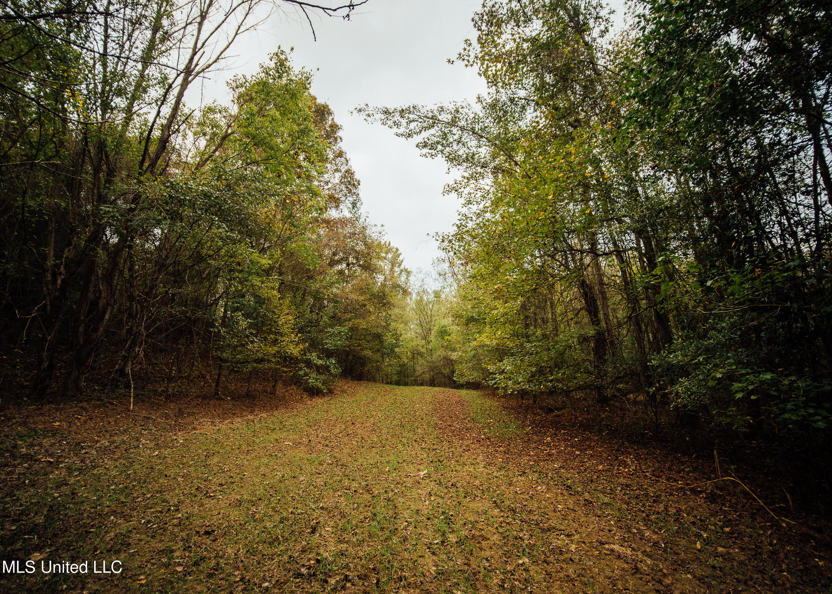 Old Benton Rd, Yazoo City, Mississippi image 36