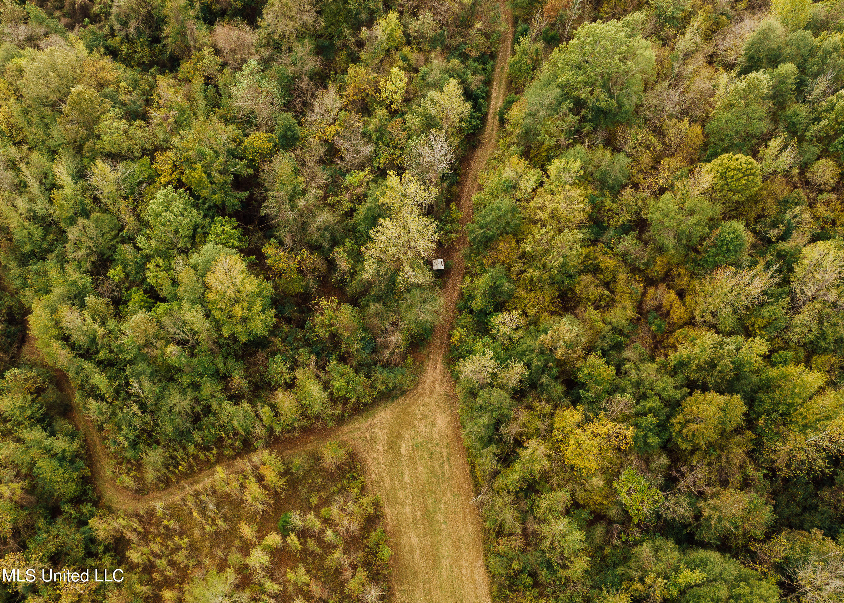 Old Benton Rd, Yazoo City, Mississippi image 17