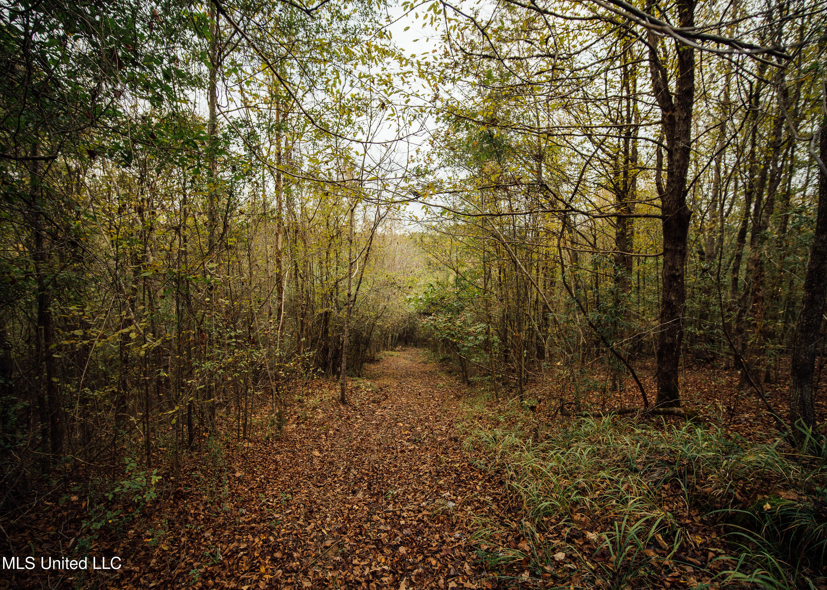 Old Benton Rd, Yazoo City, Mississippi image 33