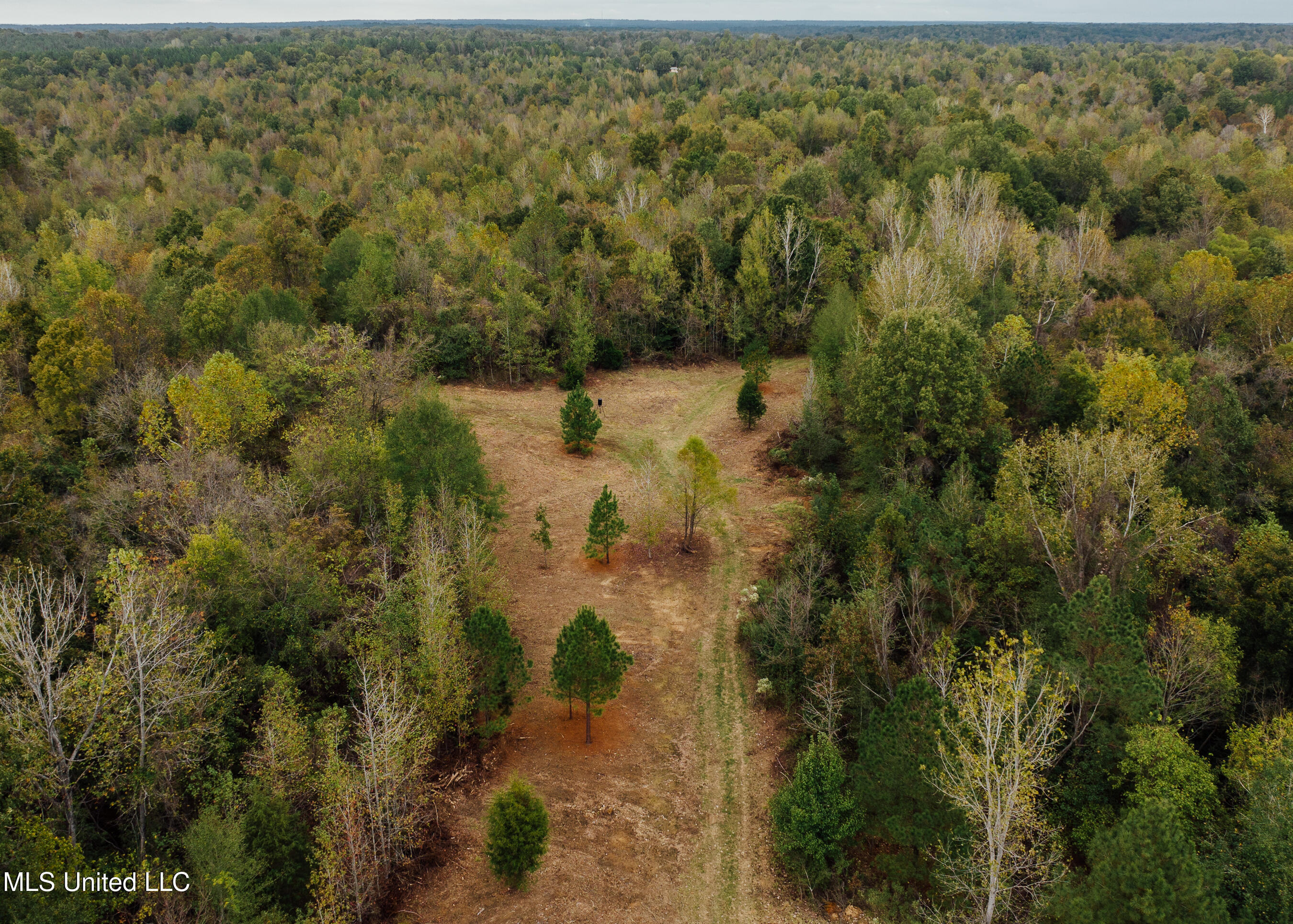 Old Benton Rd, Yazoo City, Mississippi image 2