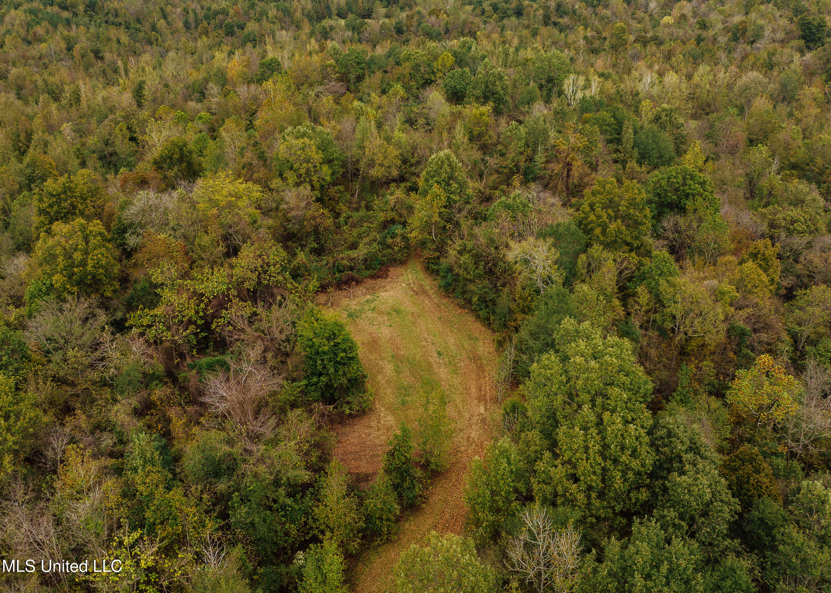 Old Benton Rd, Yazoo City, Mississippi image 14