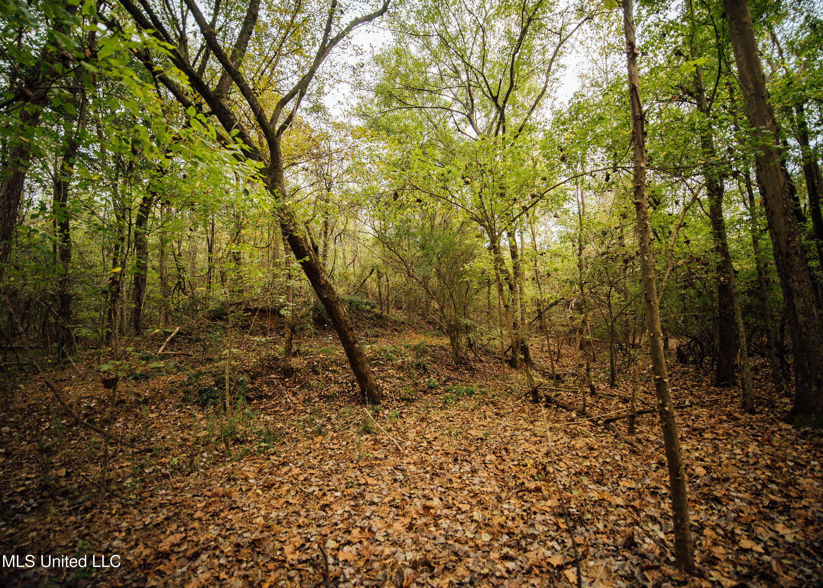 Old Benton Rd, Yazoo City, Mississippi image 41