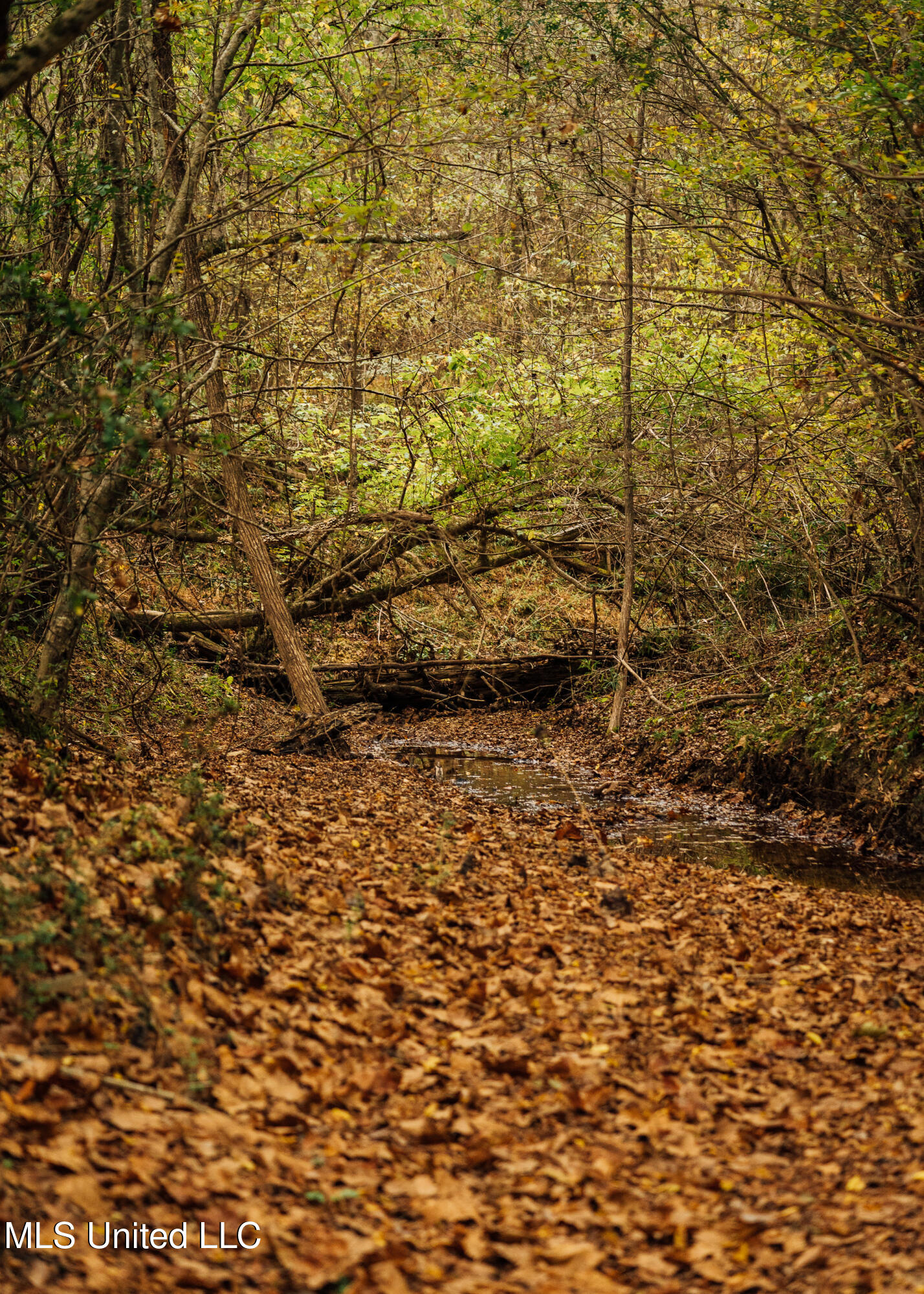 Old Benton Rd, Yazoo City, Mississippi image 34