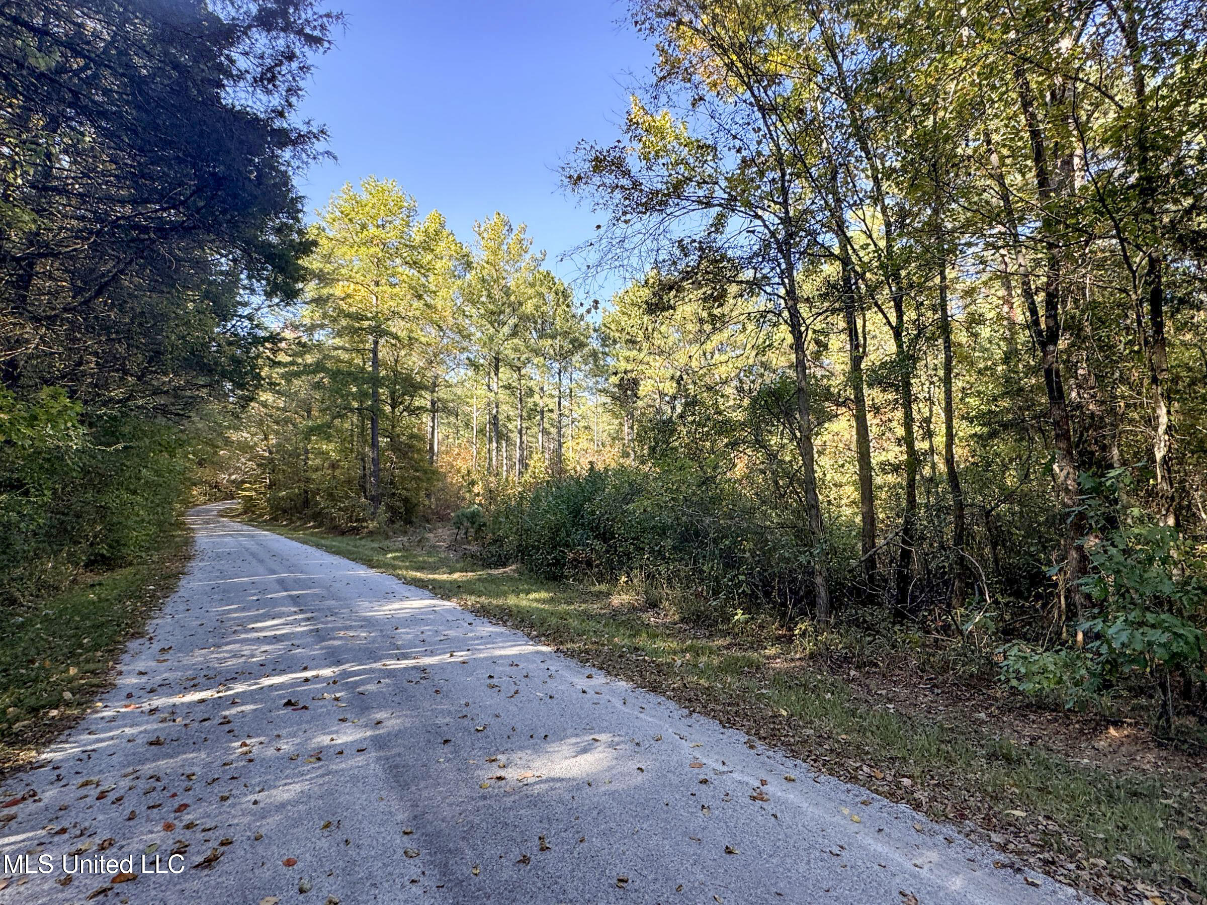 Tbd Cr 94 - Coleman Road, Water Valley, Mississippi image 40