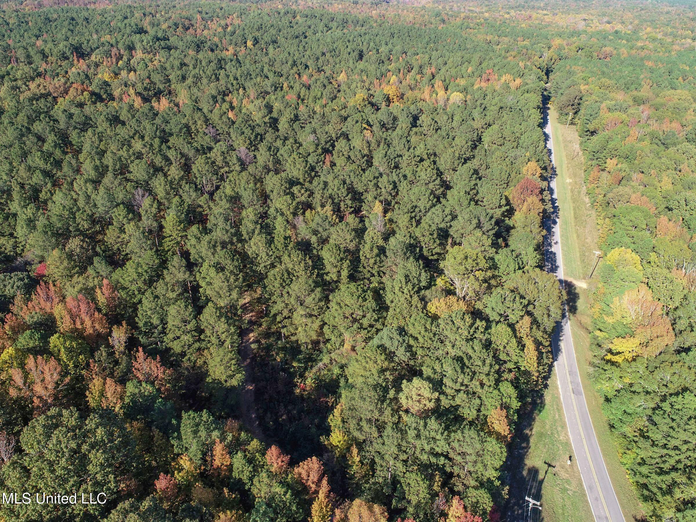 Tbd Cr 94 - Coleman Road, Water Valley, Mississippi image 18