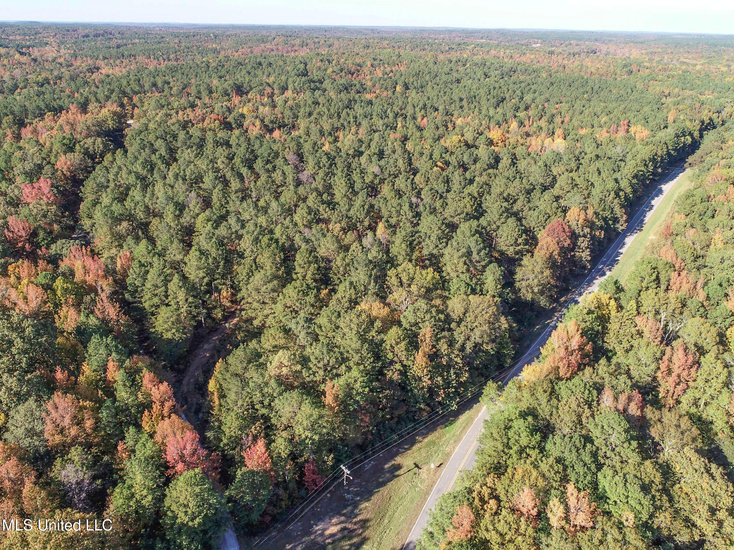 Tbd Cr 94 - Coleman Road, Water Valley, Mississippi image 8