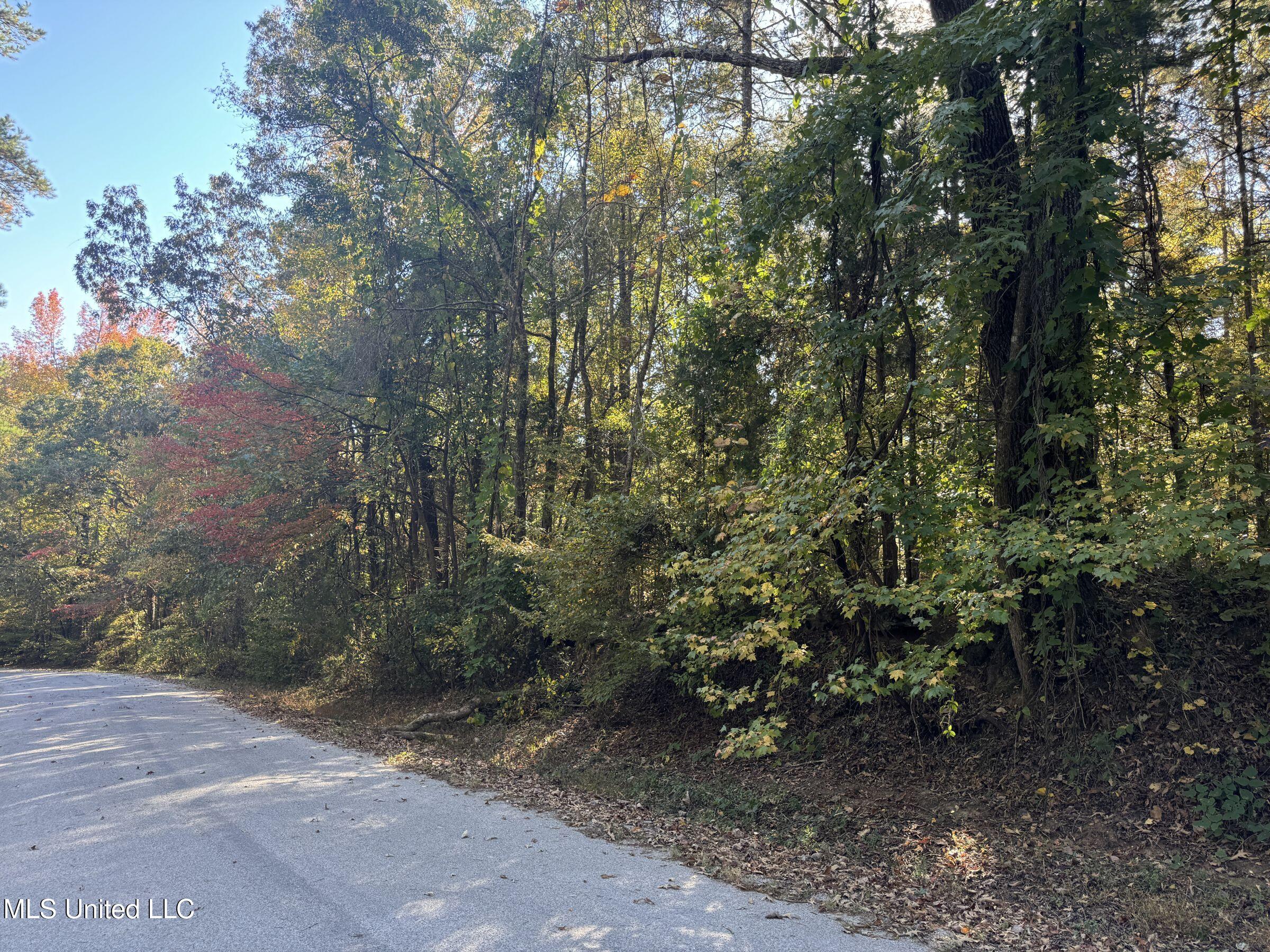 Tbd Cr 94 - Coleman Road, Water Valley, Mississippi image 42