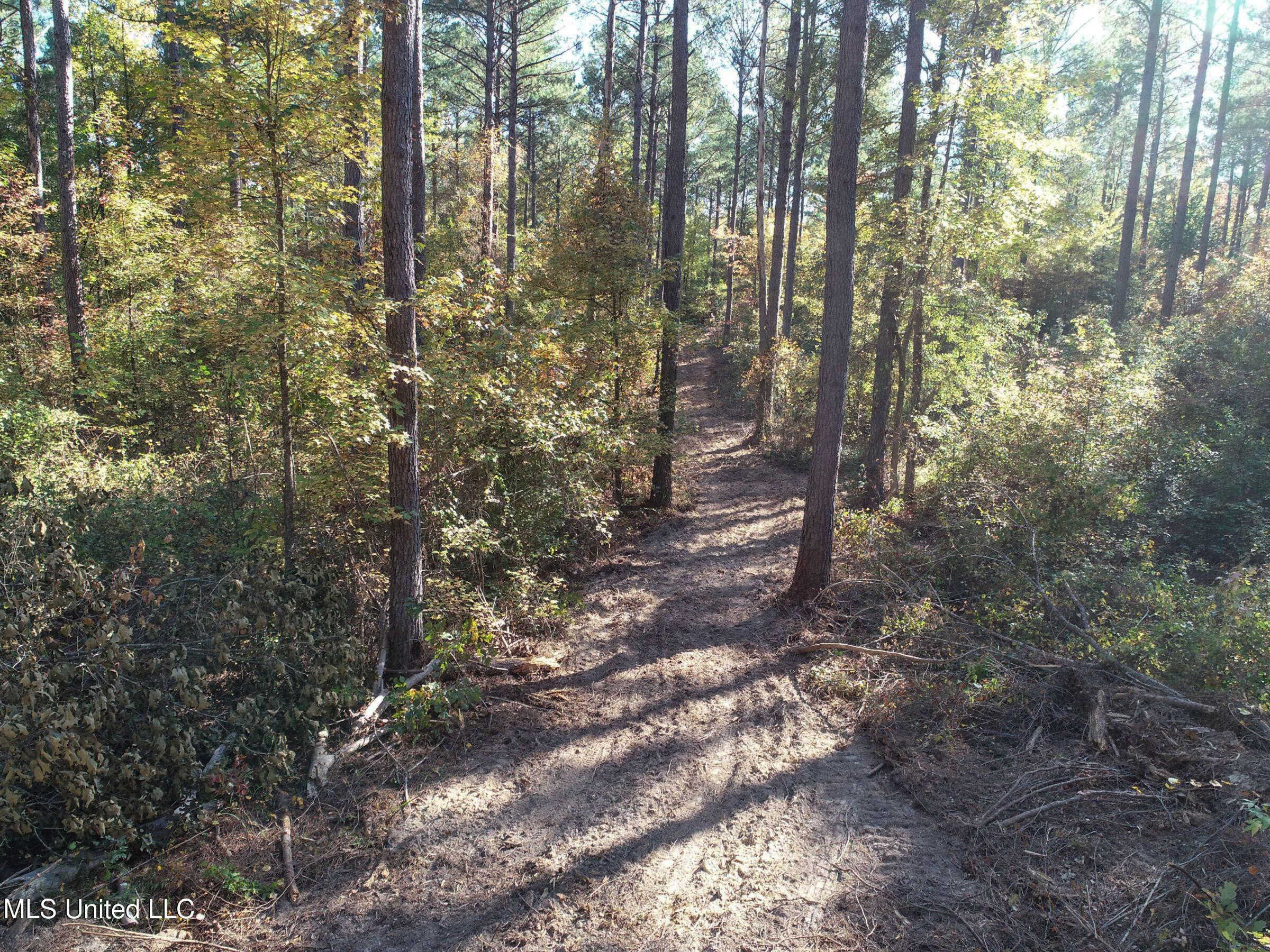 Tbd Cr 94 - Coleman Road, Water Valley, Mississippi image 24