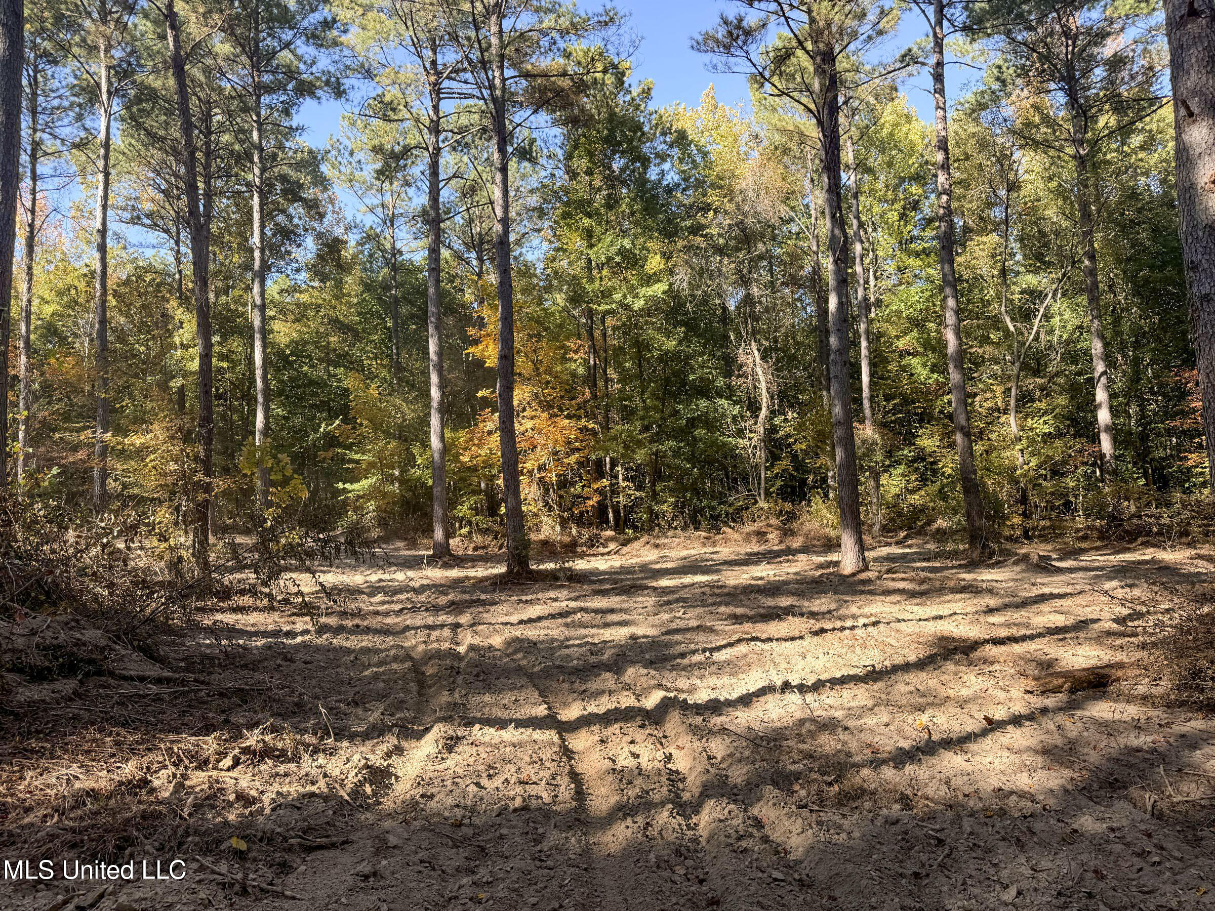 Tbd Cr 94 - Coleman Road, Water Valley, Mississippi image 34