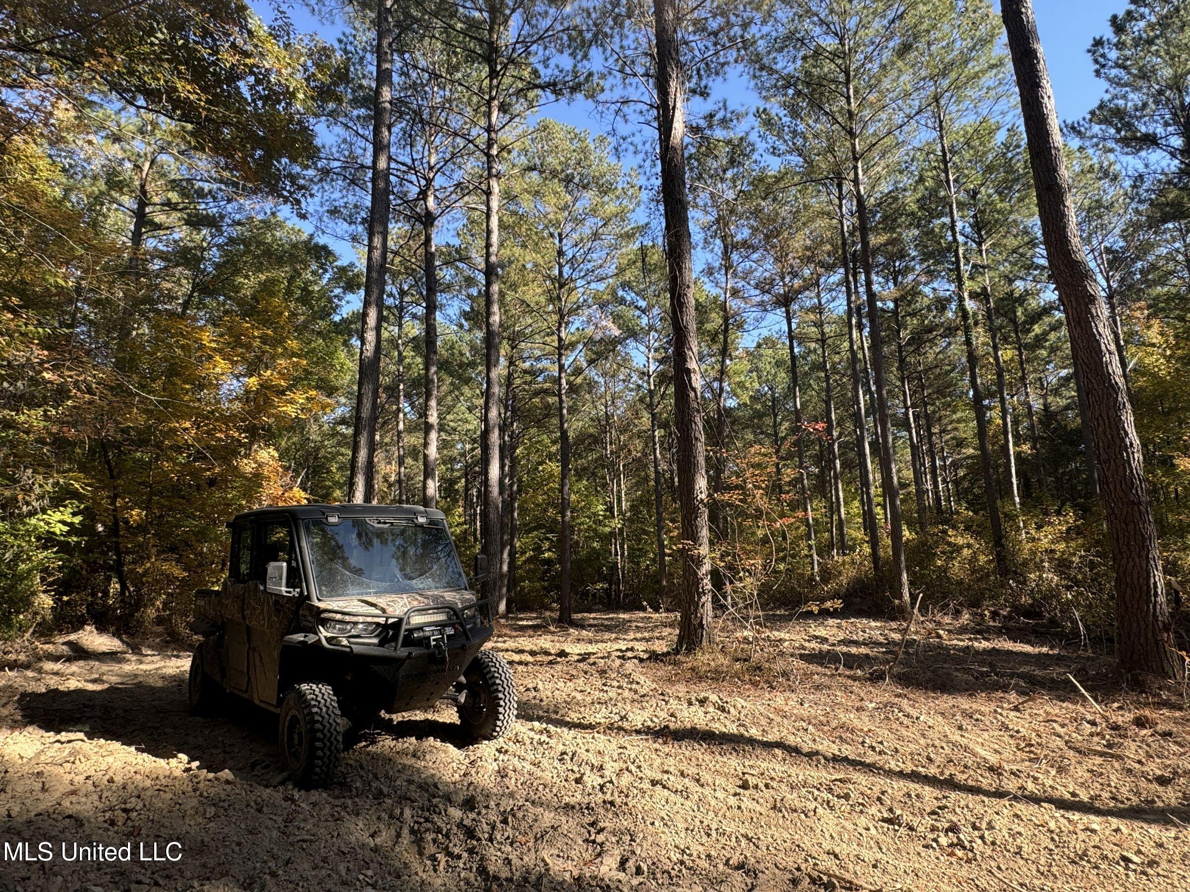 Tbd Cr 94 - Coleman Road, Water Valley, Mississippi image 37