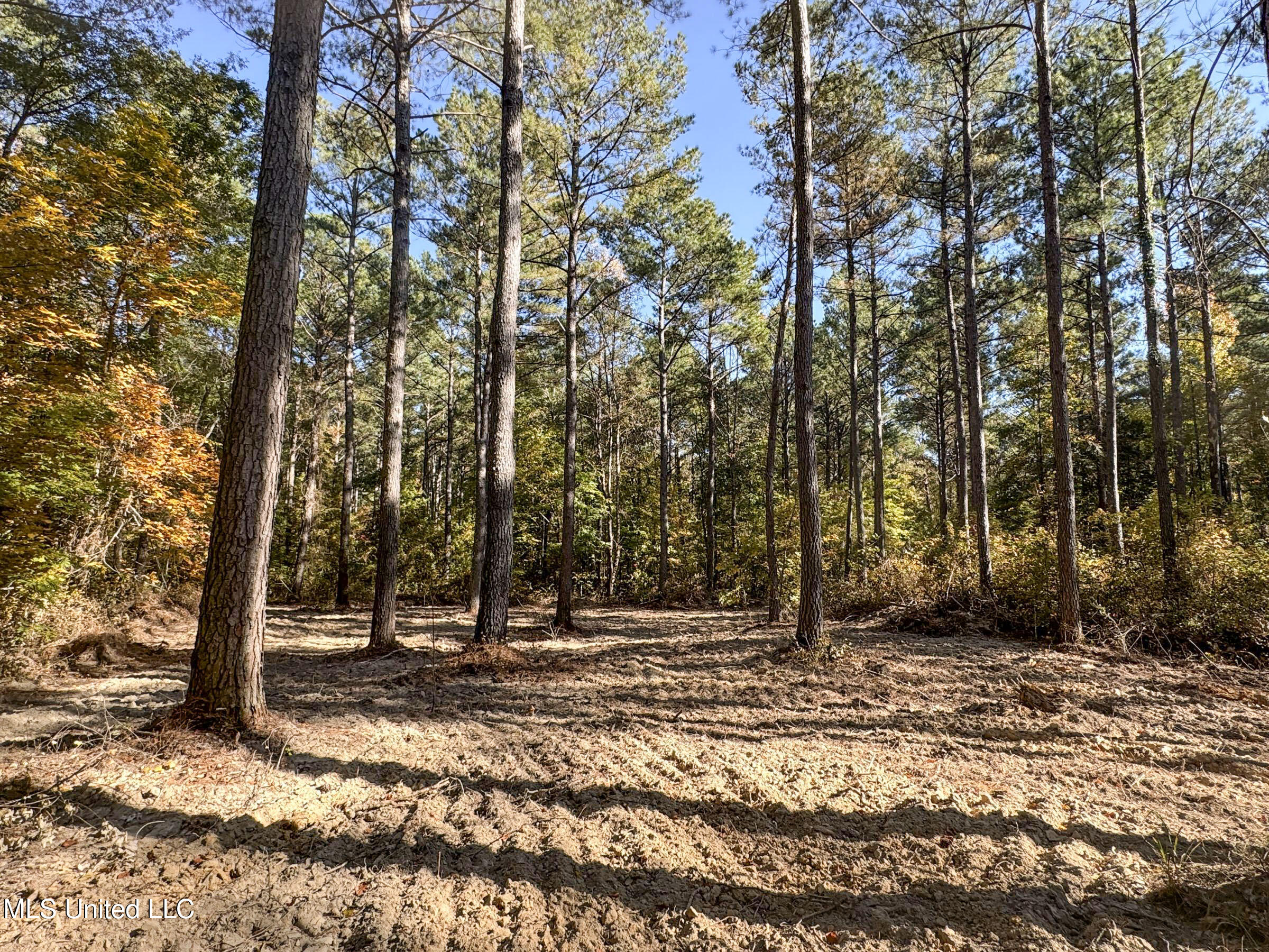 Tbd Cr 94 - Coleman Road, Water Valley, Mississippi image 33