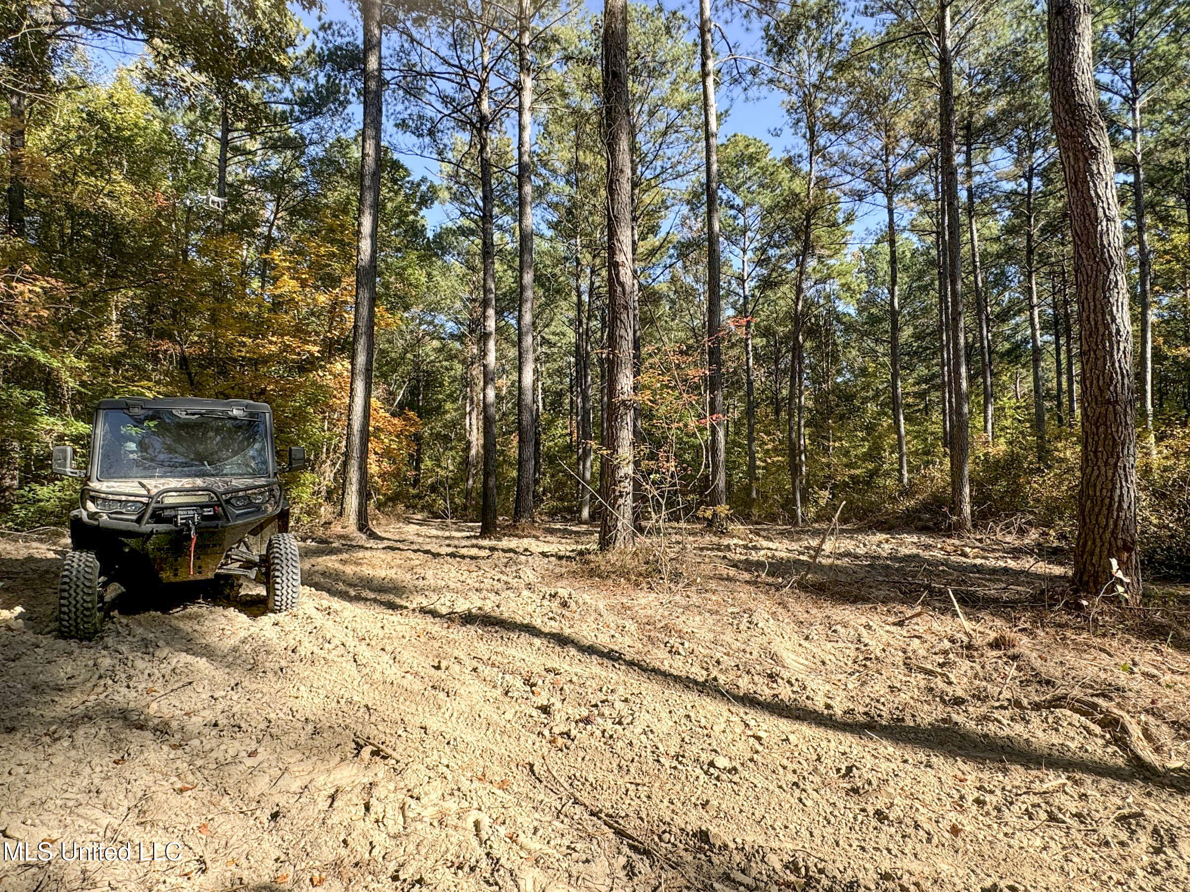 Tbd Cr 94 - Coleman Road, Water Valley, Mississippi image 39