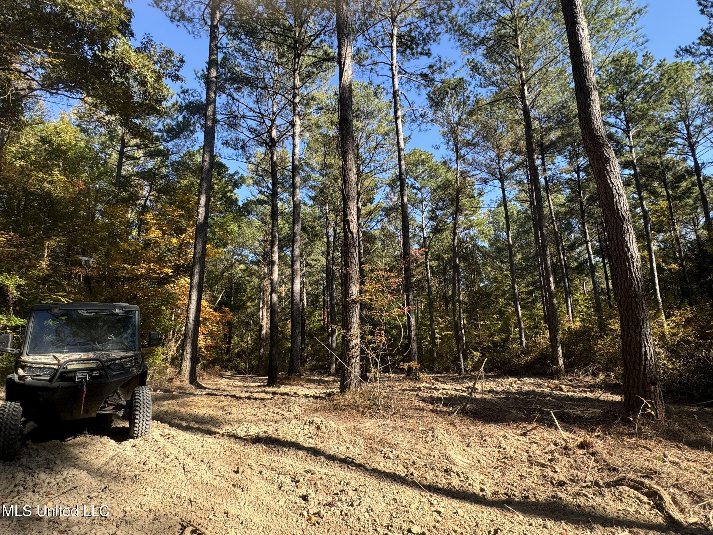 Tbd Cr 94 - Coleman Road, Water Valley, Mississippi image 38