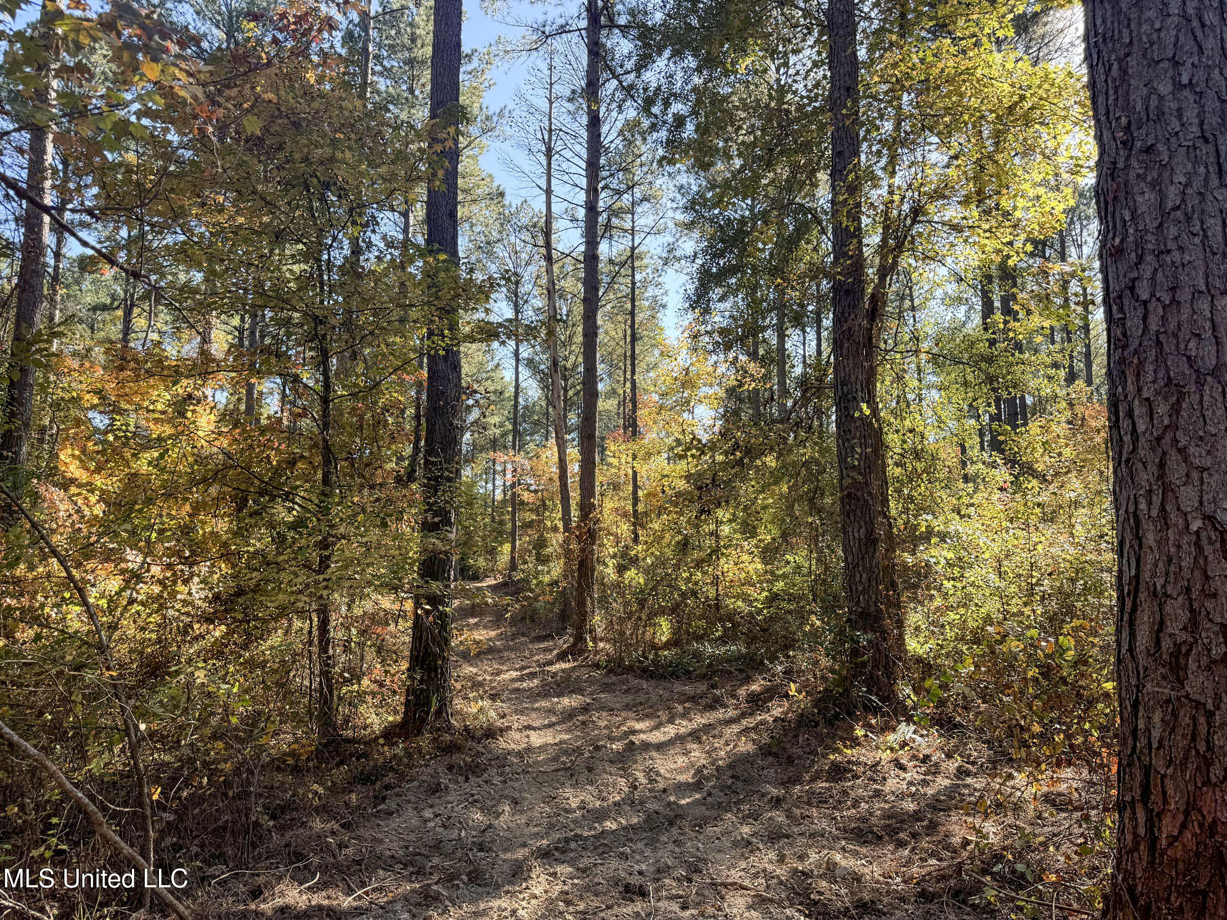 Tbd Cr 94 - Coleman Road, Water Valley, Mississippi image 30