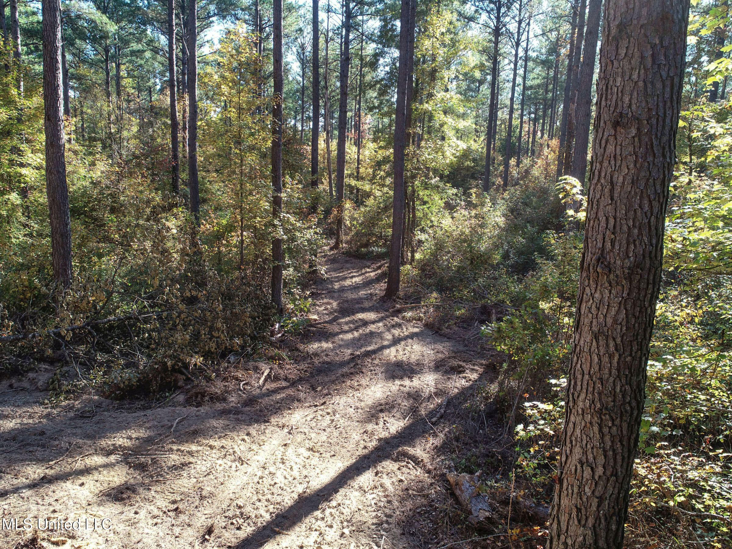 Tbd Cr 94 - Coleman Road, Water Valley, Mississippi image 23