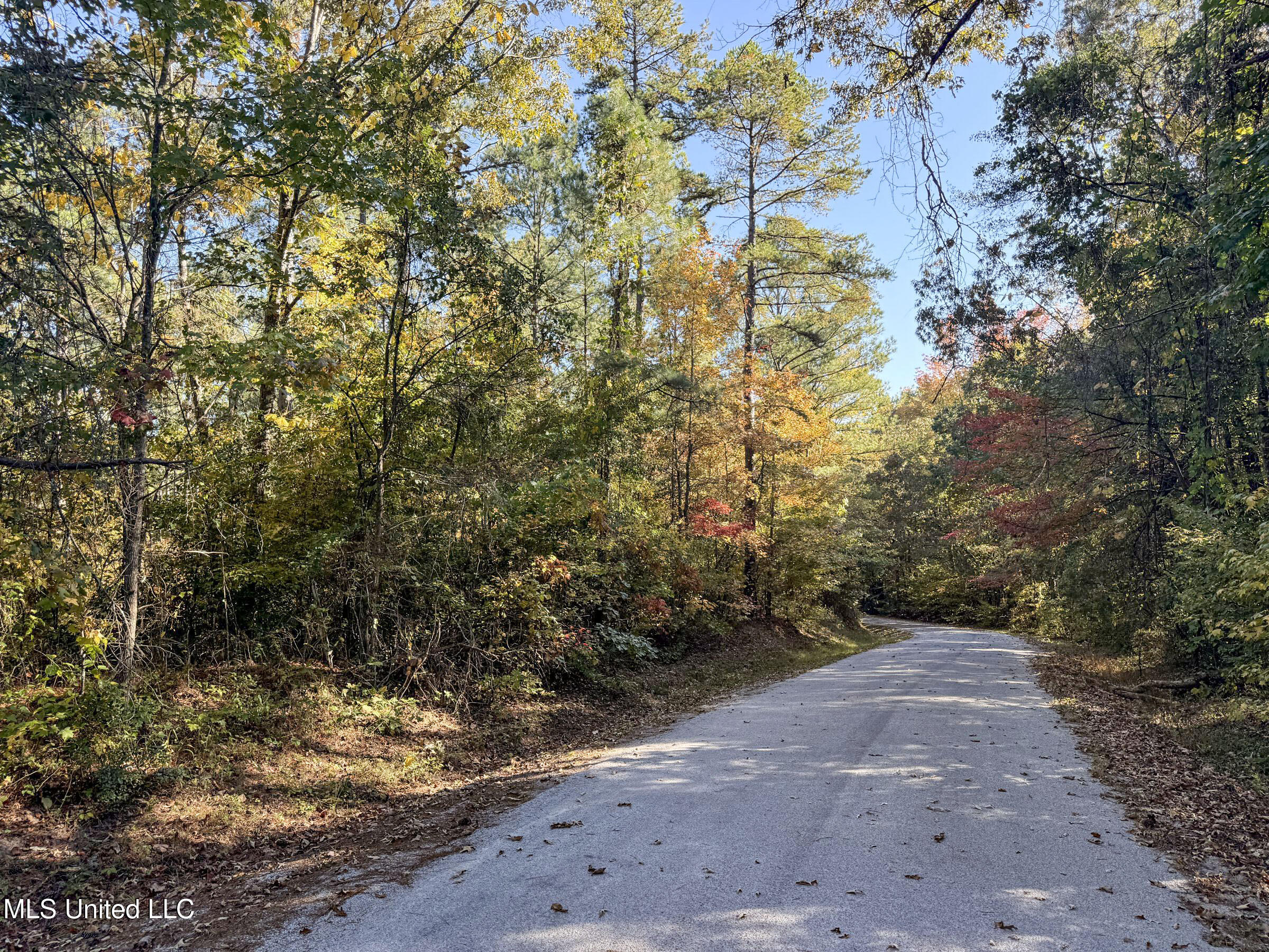 Tbd Cr 94 - Coleman Road, Water Valley, Mississippi image 41