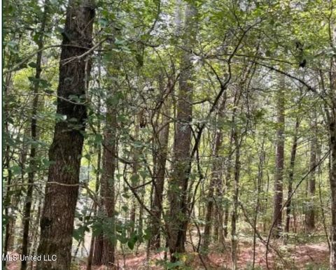 Vacant Land For Sale - West Boulevard<br/> West, MS 39192