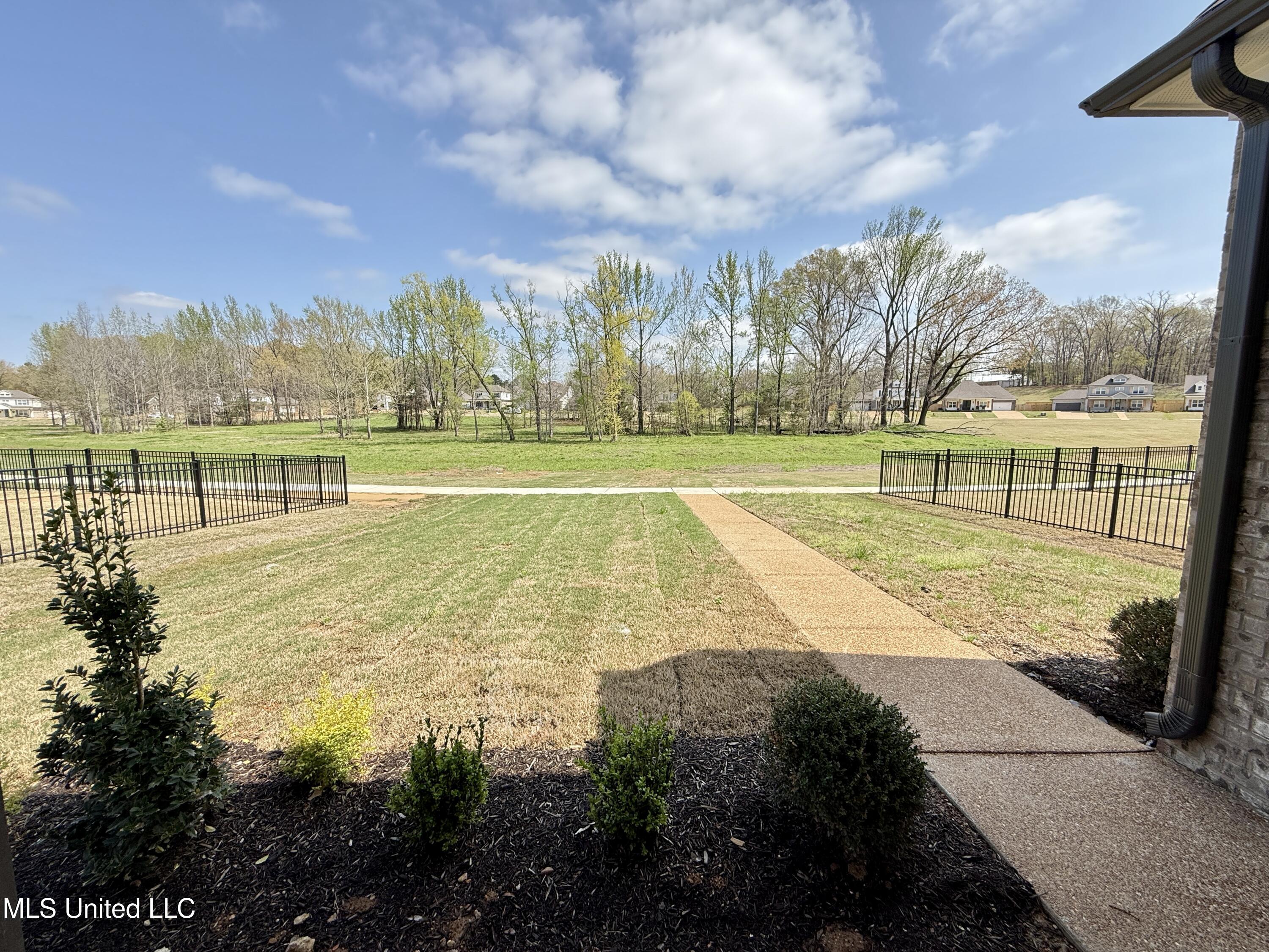 3148 Meadows Way, Hernando, Mississippi image 6