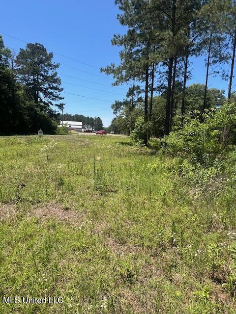 2423a E Lincoln Road, Brookhaven, Mississippi image 2