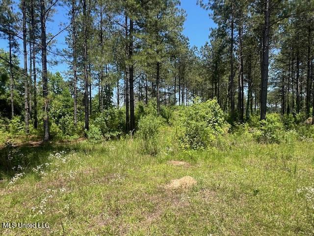 2423a E Lincoln Road, Brookhaven, Mississippi image 5