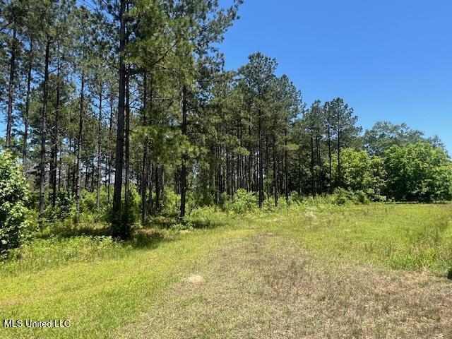 2423a E Lincoln Road, Brookhaven, Mississippi image 6