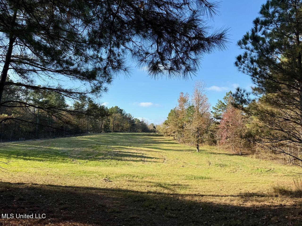 Mill Pond Road, Lamar, Mississippi image 7