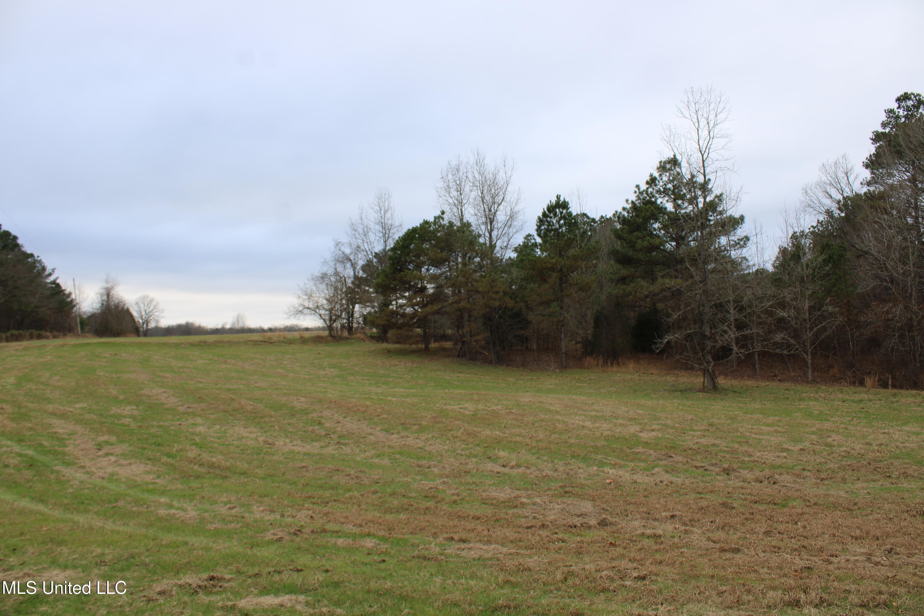 Mill Pond Road, Lamar, Mississippi image 10