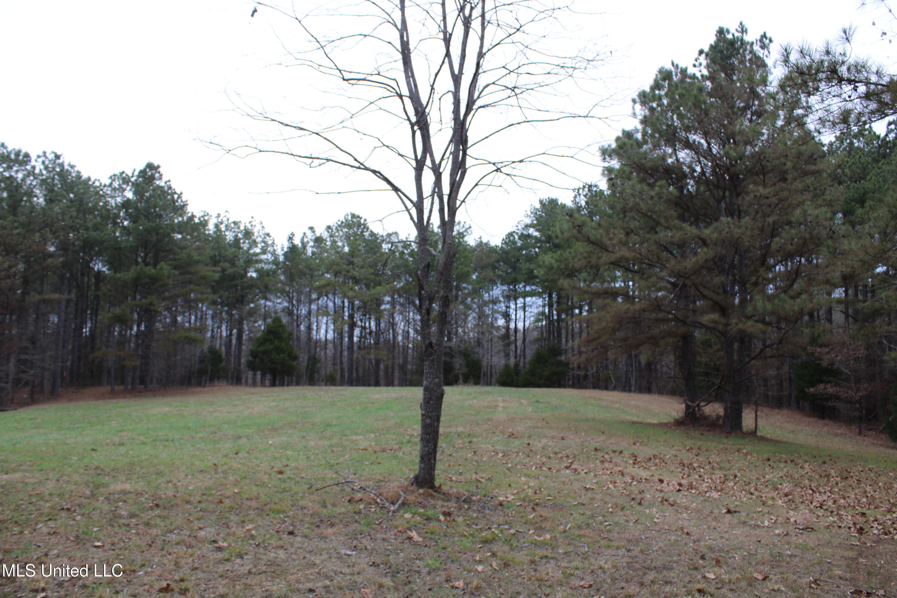 Mill Pond Road, Lamar, Mississippi image 11