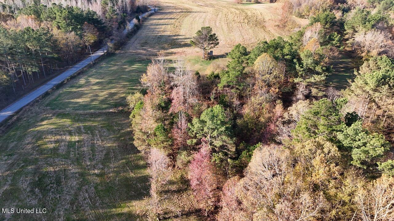 Mill Pond Road, Lamar, Mississippi image 1
