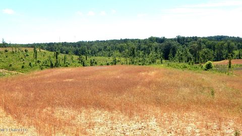Vacant Land For Sale - 211 Hugh White State Park Road<br/> Grenada, MS 38901