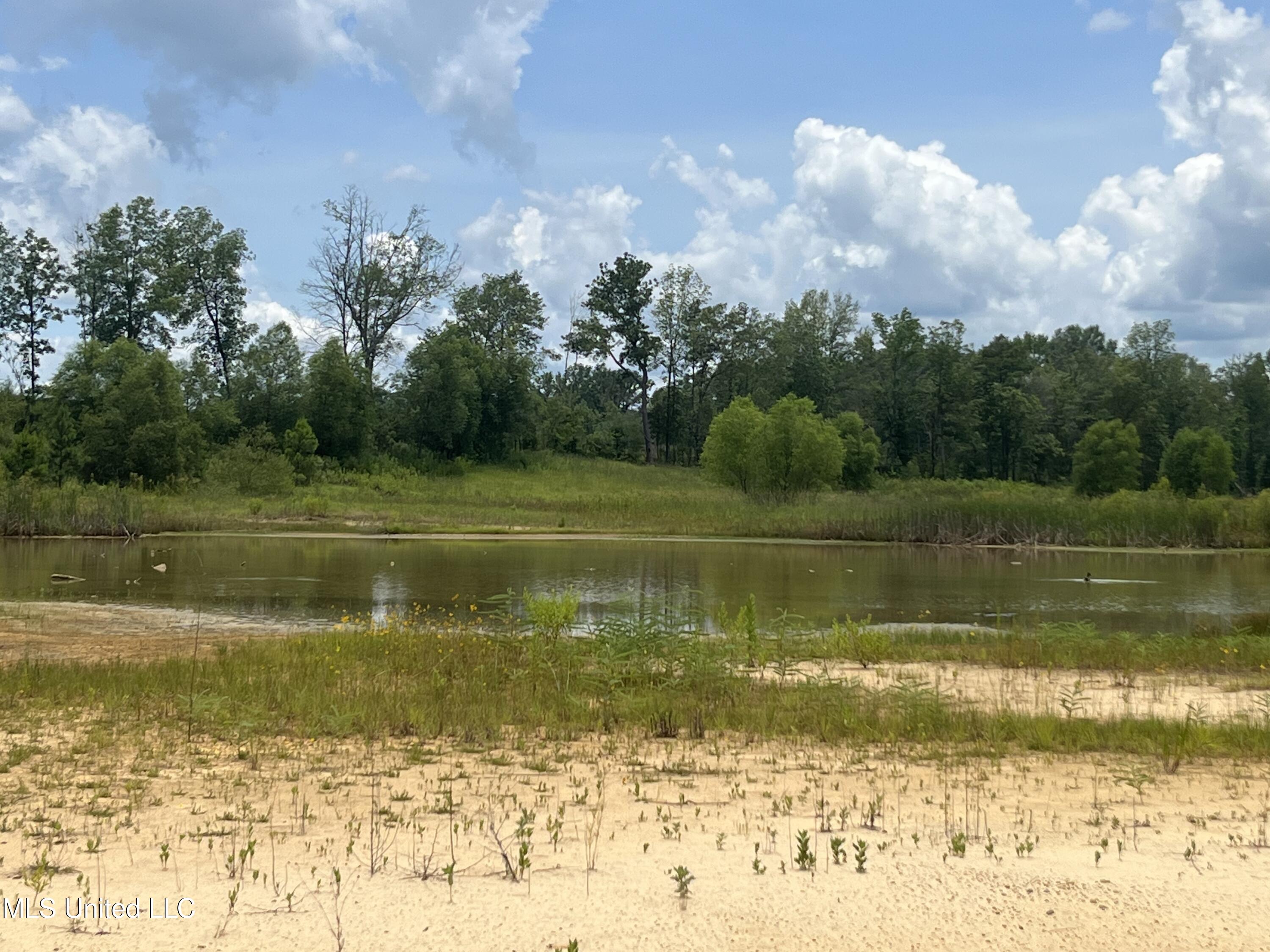 Willeaner Drive, Pearl, Mississippi image 8