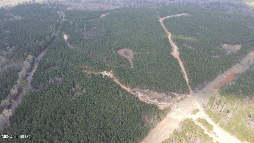 Honeysucker Road, Camden, Mississippi image 13