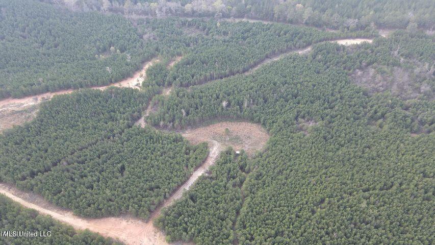Honeysucker Road, Camden, Mississippi image 15