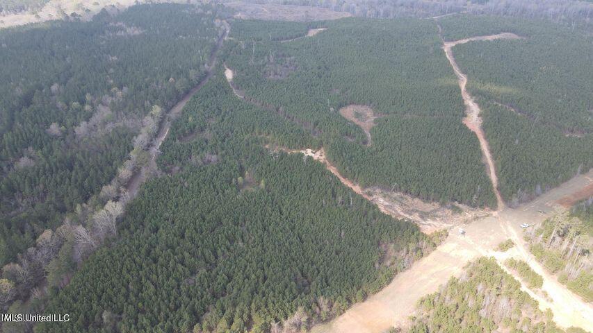 Honeysucker Road, Camden, Mississippi image 12