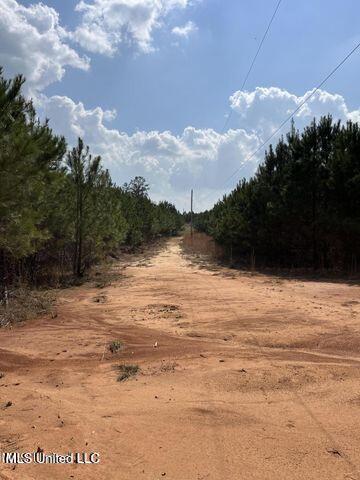 Honeysucker Road, Camden, Mississippi image 8