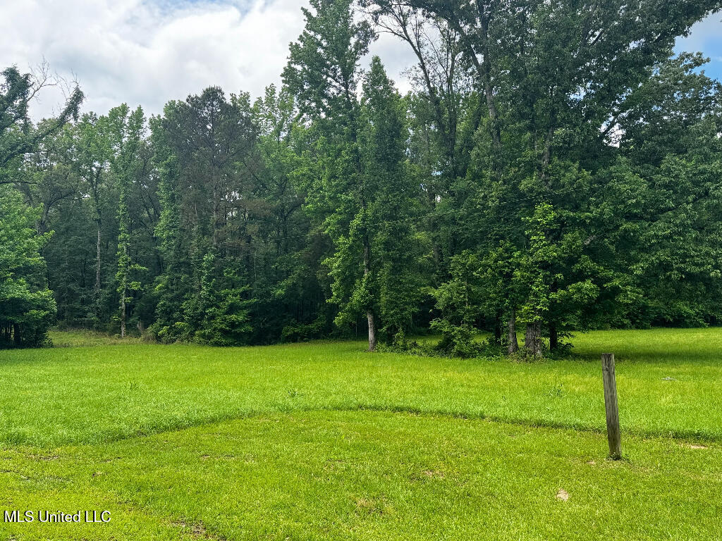 10225 Dry Grove Road, Raymond, Mississippi image 31