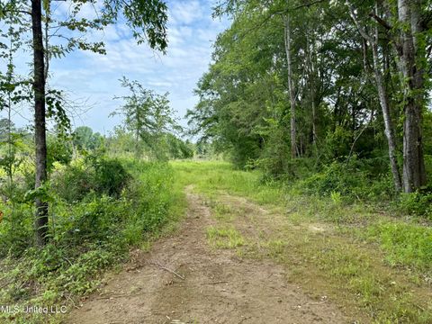 Vacant Land For Sale - Comfort Rd<br/> Kosciusko, MS 39090