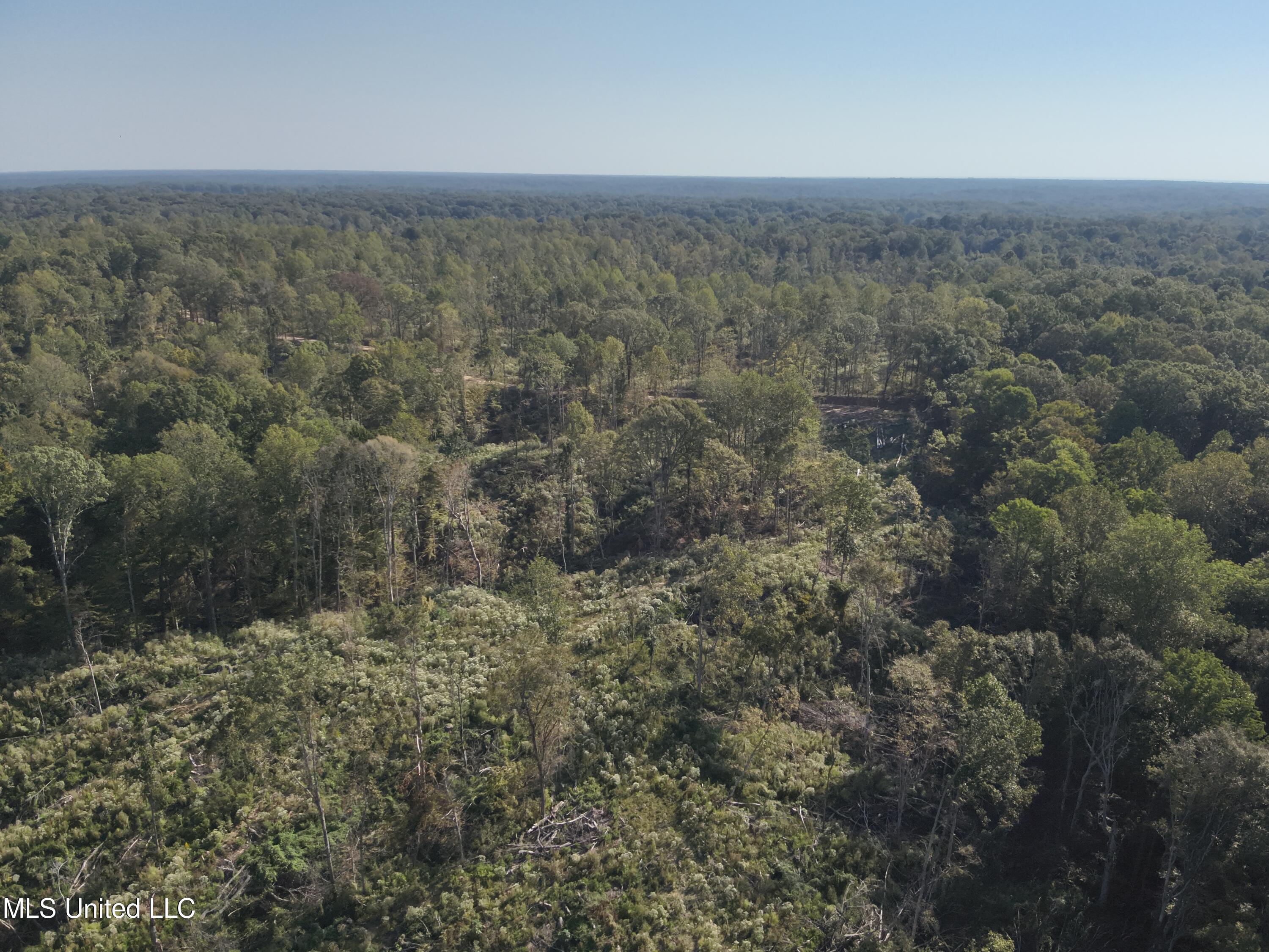 Perry Creek Rd. Road, Satartia, Mississippi image 13