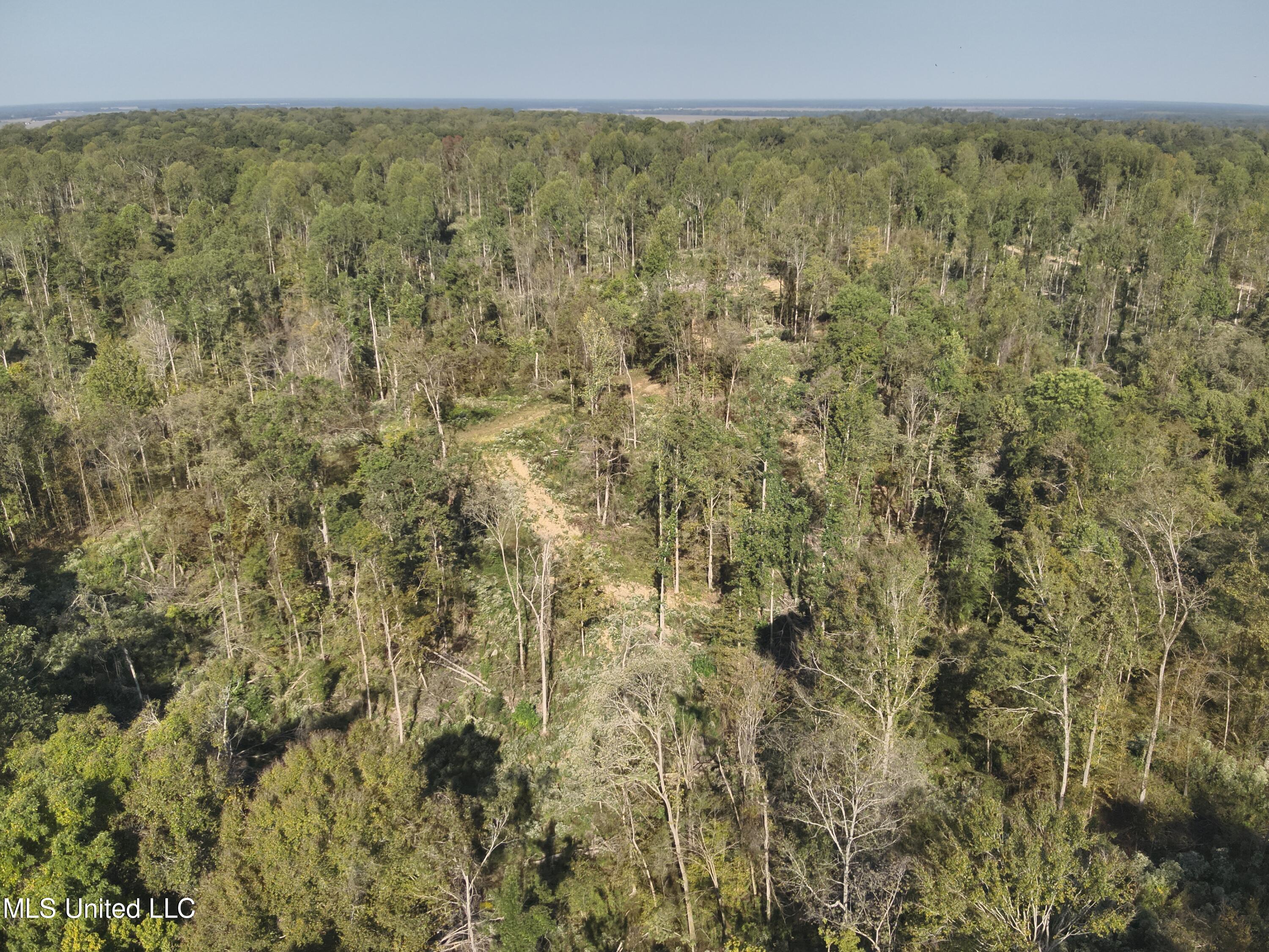 Perry Creek Rd. Road, Satartia, Mississippi image 11