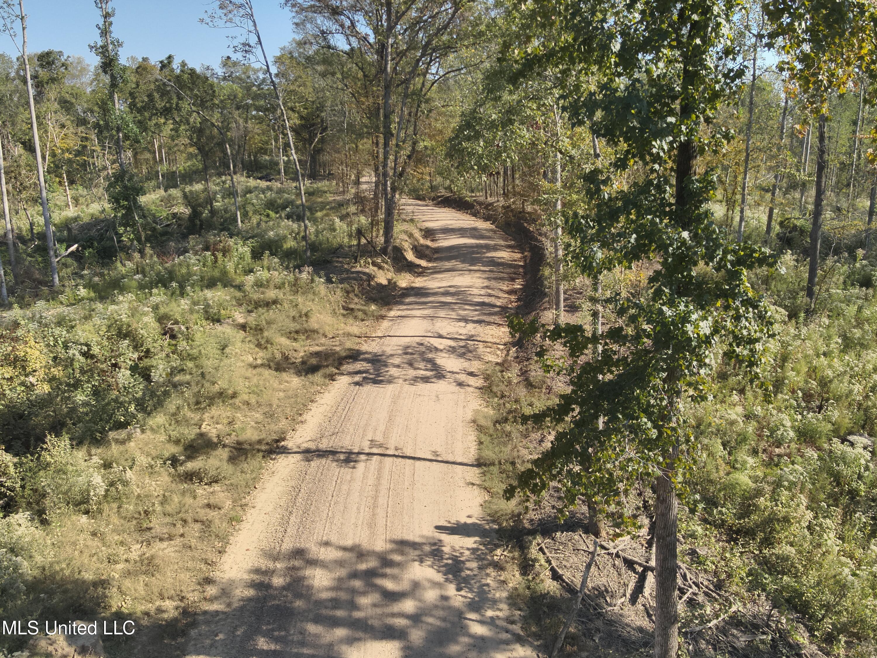 Perry Creek Rd. Road, Satartia, Mississippi image 9