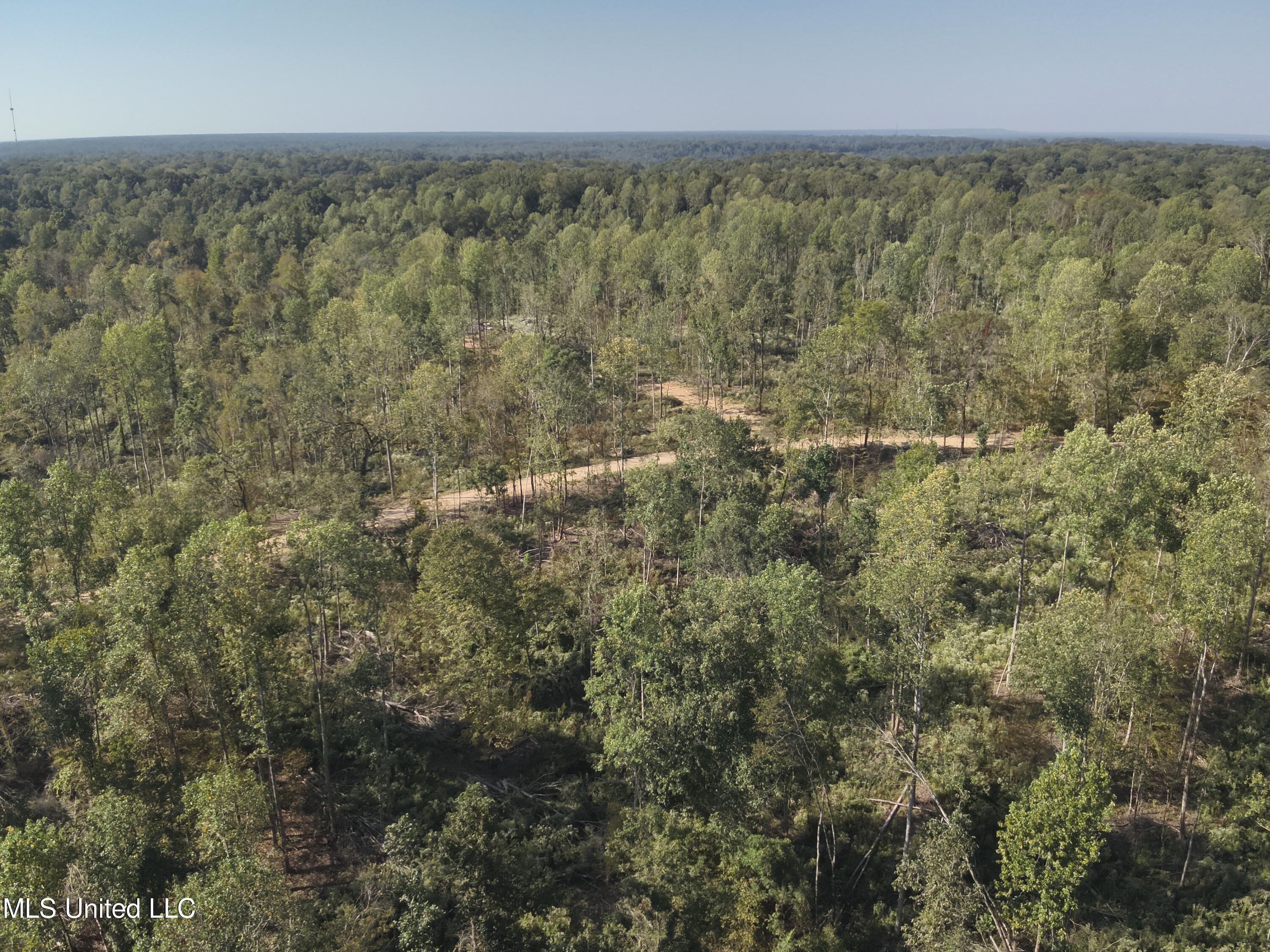 Perry Creek Rd. Road, Satartia, Mississippi image 8