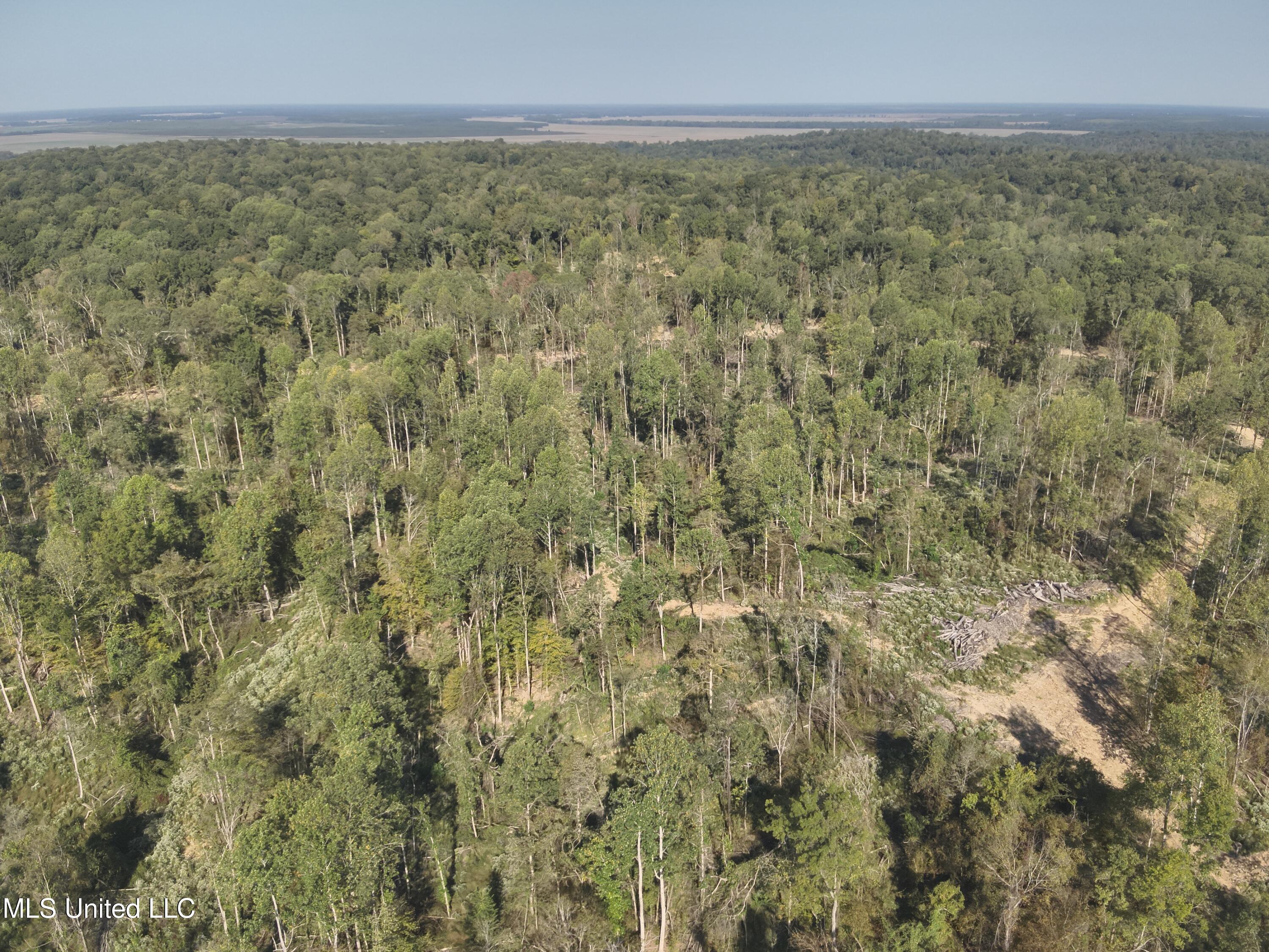 Perry Creek Rd. Road, Satartia, Mississippi image 10