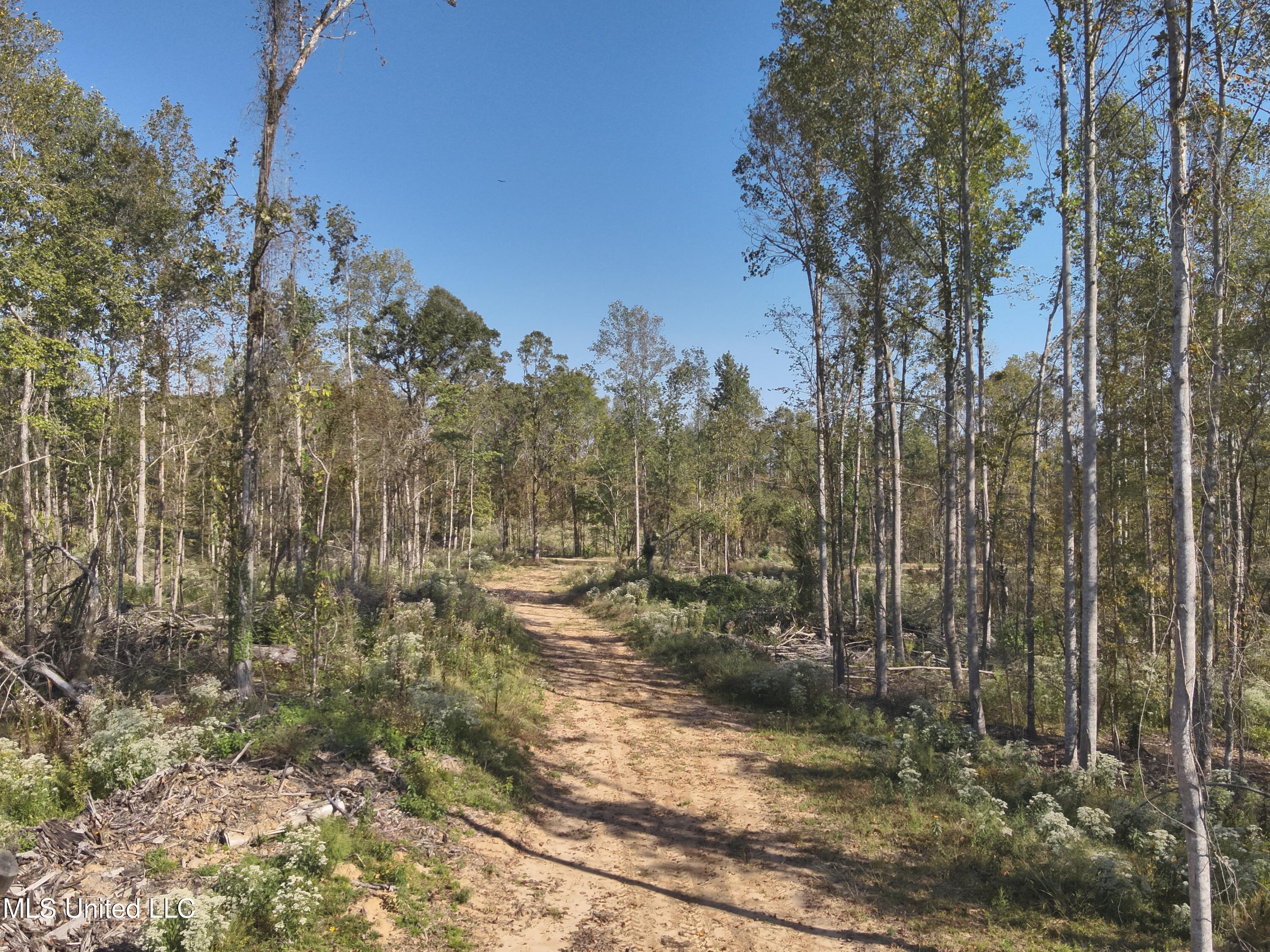 Perry Creek Rd. Road, Satartia, Mississippi image 12