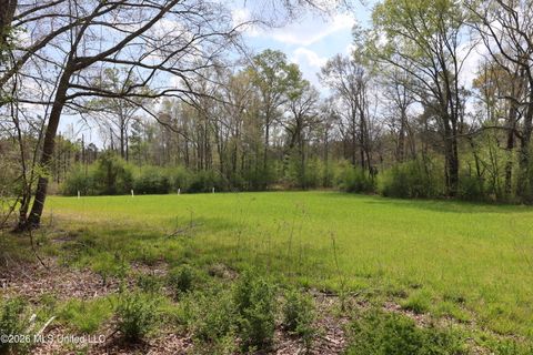 Vacant Land For Sale - 3194 James Road<br/> Hazlehurst, MS 39083